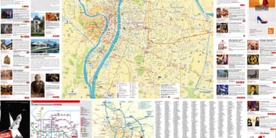 Bản đồ của Lyon bức tranh